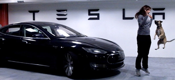 特斯拉：一家初創(chuàng)公司如何獲得成功