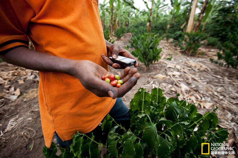 手機如何幫助解決全球饑餓問題？