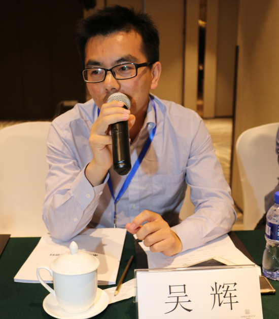 電池百人會理事：伊維經(jīng)濟(jì)研究院吳輝