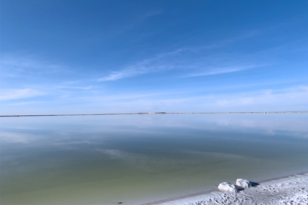 5月碳酸鋰價格大漲超50%，后市行情如何？