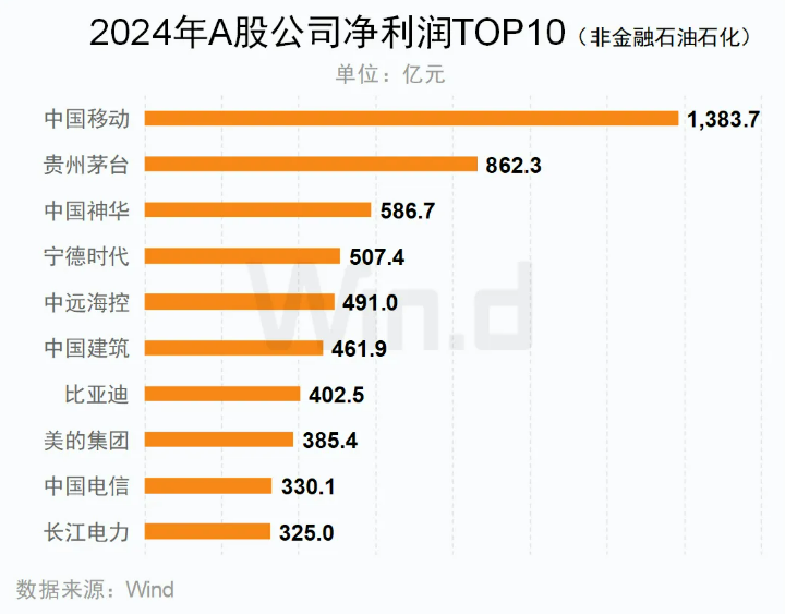 2024年A股歸母凈利潤(rùn)TOP10（非金融石油石化）公司