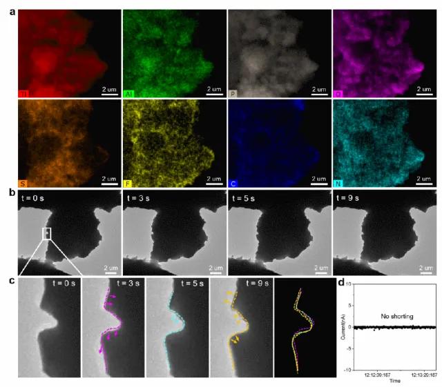 圖4. 有機—無機復合固態電解質中的穩定鋰離子傳輸