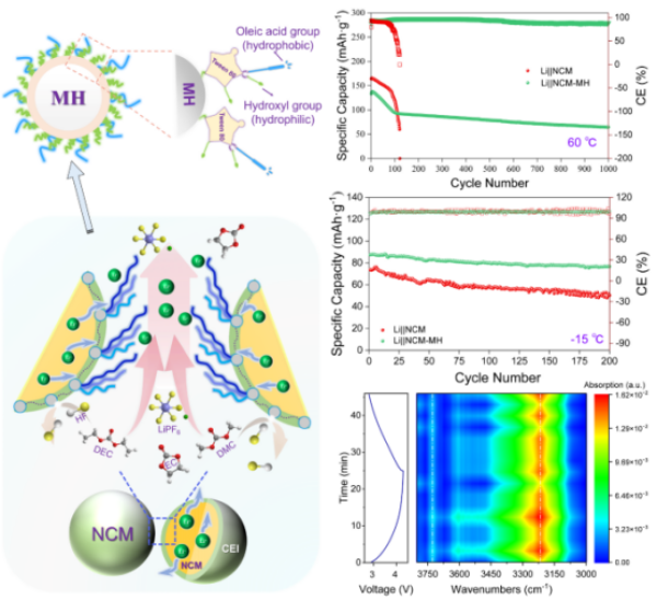烷基鏈搖曳機理示意及電池長循環性能對比 圖片來源：中國科學院青海鹽湖研究所