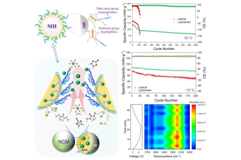 提升寬溫域性能！中科院鎂基鋰電池研究獲新進展