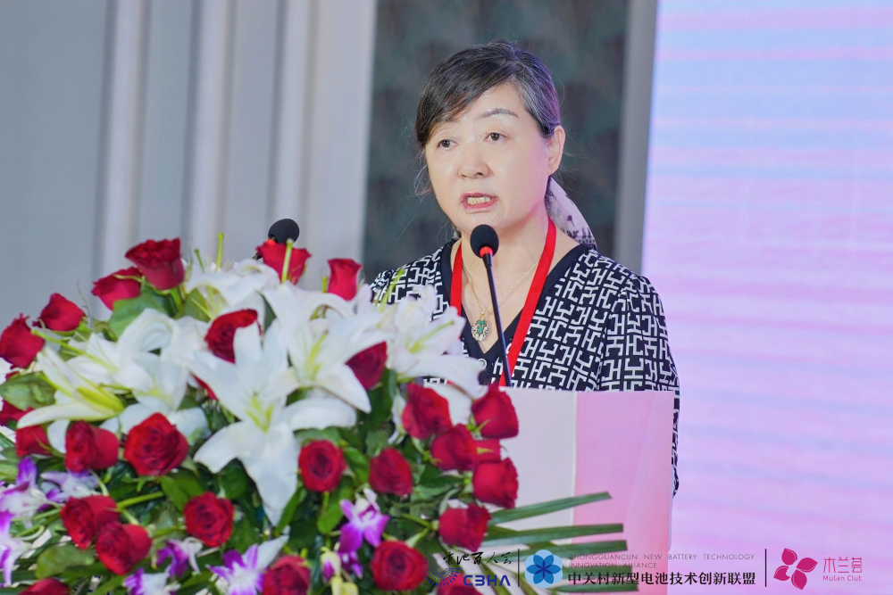 保力新能源科技股份有限公司董事長高保清