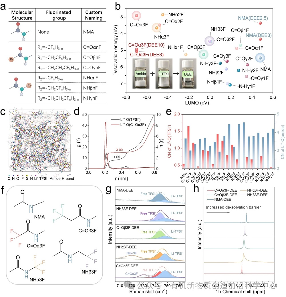 圖2. (a) 酰胺分子的自定義命名法。(b) 酰胺分子的LUMO能級及其在低共熔電解質（DEE）中與Li?的去溶劑化能量，插圖為DEE的制備過程。圖中未標注的數據點均對應DEE4。(c) C=Oα3F-DEE的快照及溶劑化結構，球棍模型顯示了包含陰離子的溶劑化結構。(d) C=Oα3F-DEE的徑向分布函數（RDF）。(e) 分子動力學模擬得到的Li+–O(酰胺)和Li?–O(TFSI?)配位數（CNs）。(f) 主要實驗對象的化學結構。(g) DEEs的擬合拉曼光譜。(h) DEEs的核磁共振光譜（NMR）。