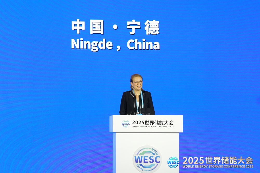 國際可再生能源署發布全球首份儲能專題報告完整版 寧德時代深度參與