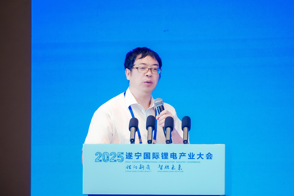 非洲科學(xué)院院士/德國薩克森科學(xué)院通訊院士/東南大學(xué)能源與環(huán)境學(xué)院教授/東南大學(xué)新一代儲能中心執(zhí)行主任 吳宇平