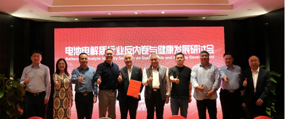 破局“內卷”！電池電解質行業健康發展研討會發布共同倡議