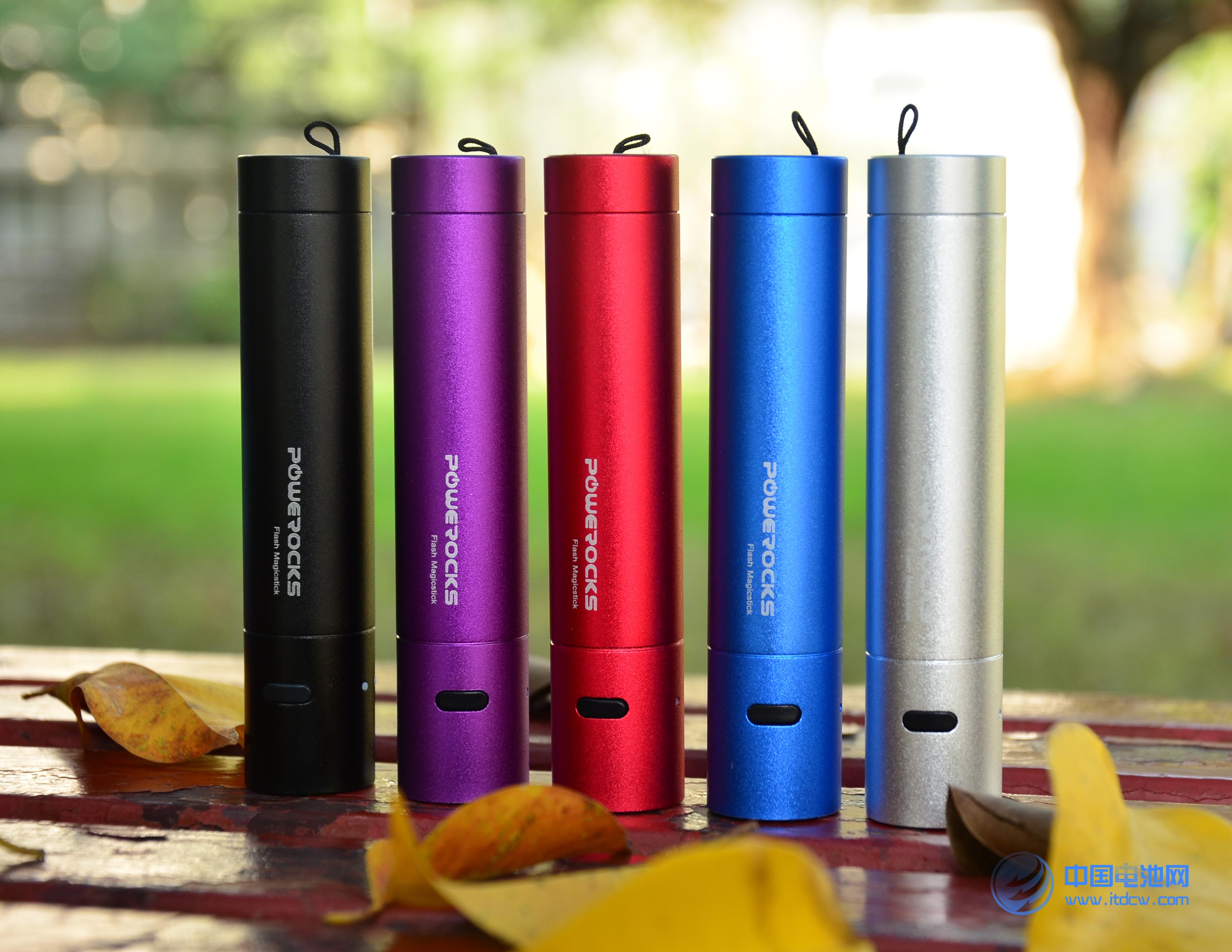 中國電池網在線商城：http://shop.itdcw.com/