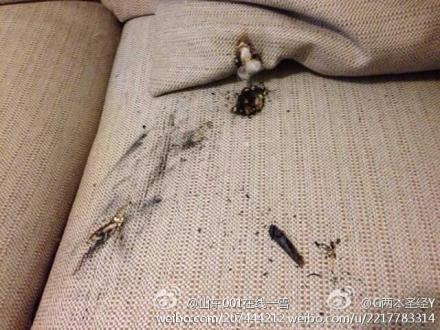 網友微博曝小米移動電源半夜自燃 滅火及時