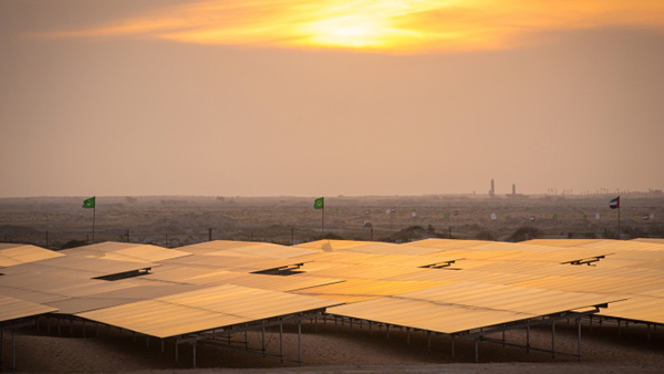 大慶企業(yè)轉(zhuǎn)戰(zhàn)光伏  新能源市場“搶灘登陸