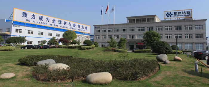 電池行業(yè)再添資本市場新軍：華友鈷業(yè)和正業(yè)科技首發(fā)獲批