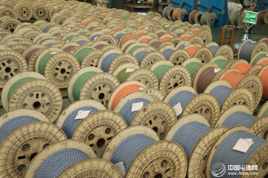 中國電池網(wǎng)率團參觀考察安徽天康集團鋰電新能源