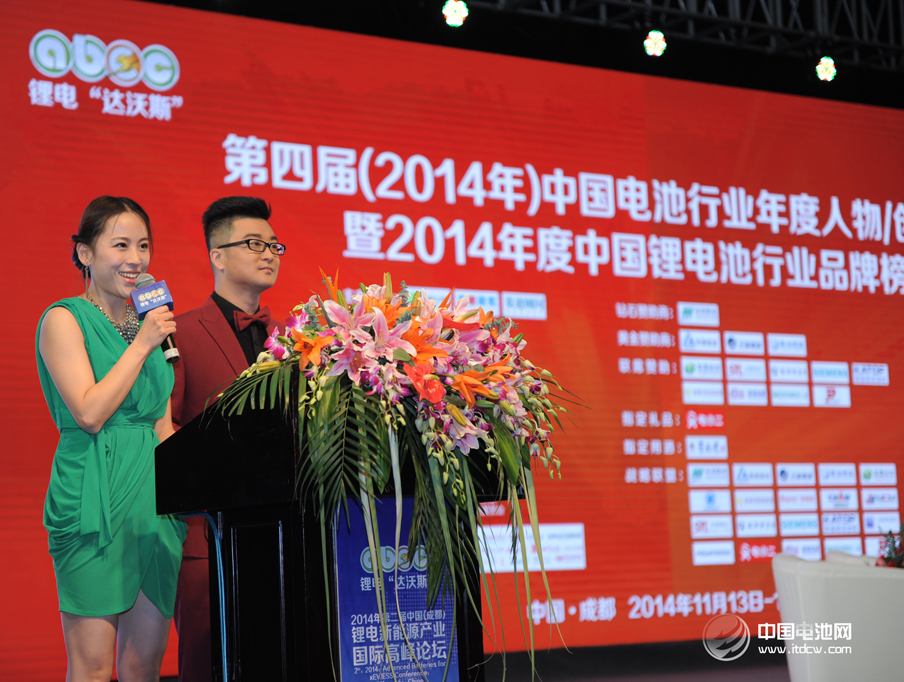 董揚：希望形成針對汽車產業發展的國家意志