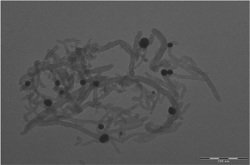 蝸殼激發科學家靈感:鋰電池有望迎來更持久的續航 蝸殼激發科學家靈感:鋰電池有望迎來更持久的續航