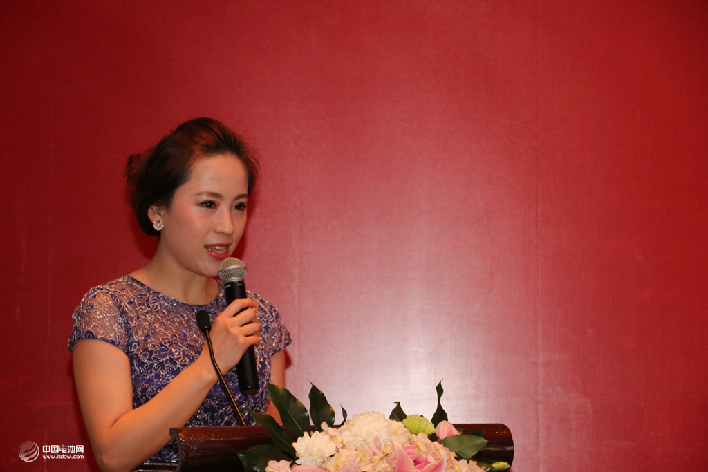 中國電池網主持人丁潔