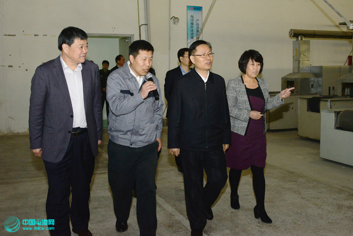 天津?yàn)I海新區(qū)區(qū)委書記宗國英視察天津斯特蘭