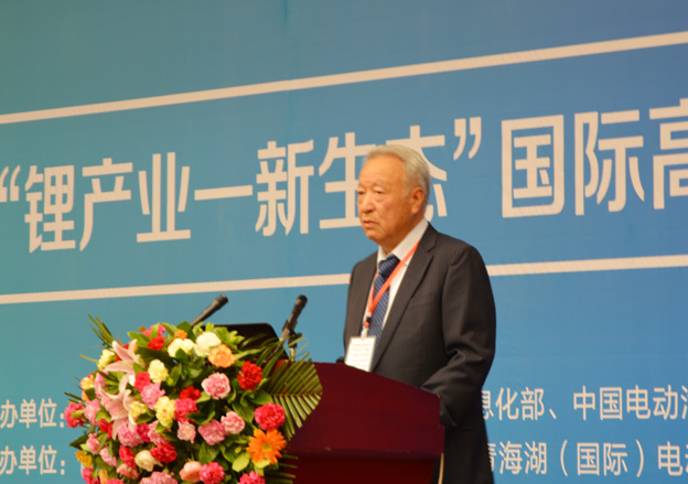 全國清潔汽車行動協(xié)調小組專家組組長王秉剛