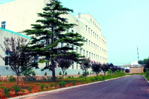 山東稀土產業(yè)緣何后來居上?儲量雖少 附加值高 山東稀土產業(yè)緣何后來居上?儲量雖少 附加值高