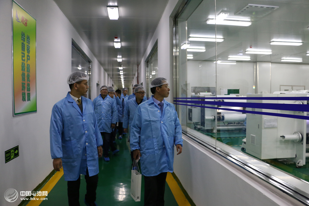 嘉賓參觀武漢惠強新能源材料科技有限公司