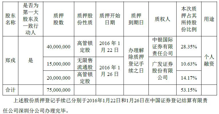 質押情況 質押情況