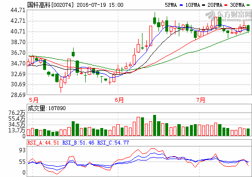 國(guó)軒高科 國(guó)軒高科