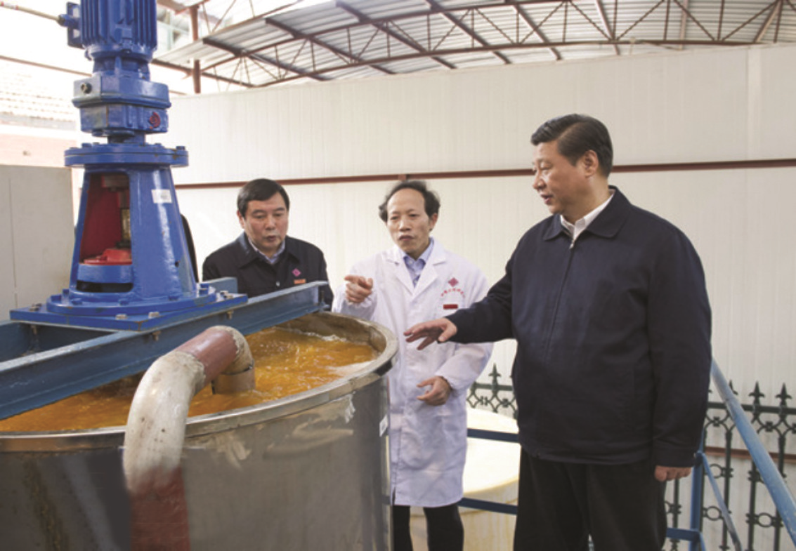 習近平主席視察寧鄉(xiāng)