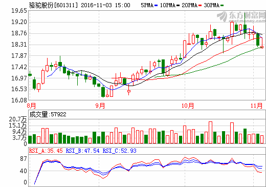 駱駝股份 駱駝股份