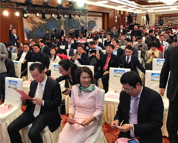 董明珠攜萬達京東等優秀資本入股珠海銀隆 共同布局新能源發展