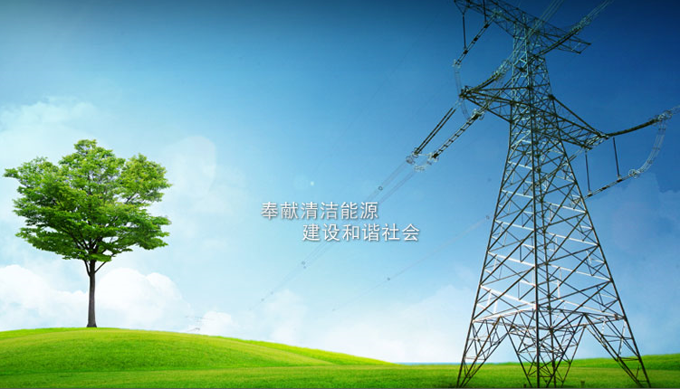 國家電網 國家電網