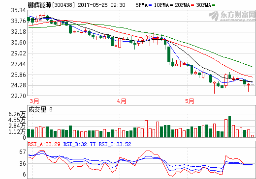 鵬輝能源 鵬輝能源