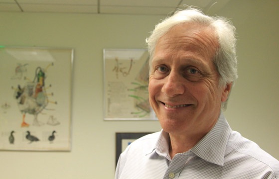 科學家自述:曾為世界節省15%電量 如今找到硅替代物 科學家自述:曾為世界節省15%電量 如今找到硅替代物