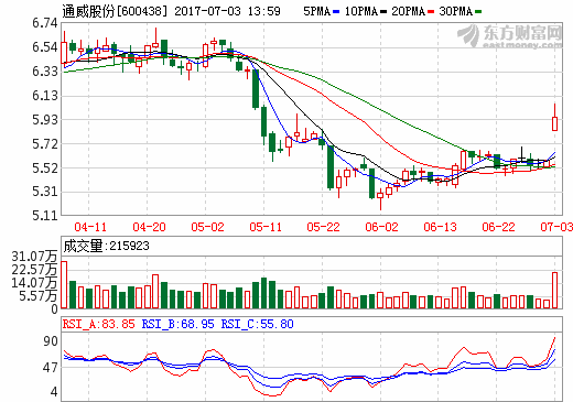通威股份:上半年凈利潤7億元-8億元 業(yè)績預(yù)增200%-246% 通威股份:上半年凈利潤7億元-8億元 業(yè)績預(yù)增200%-246%