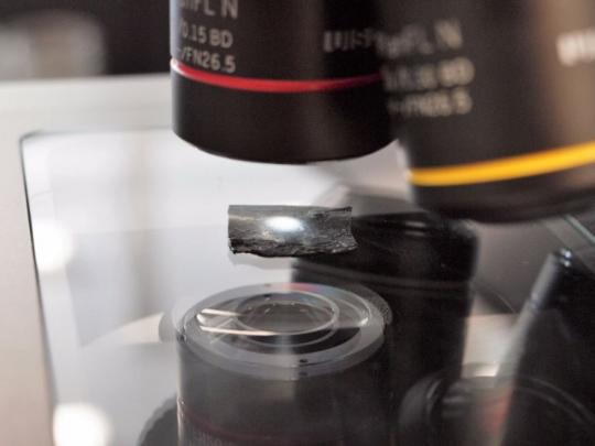 融入石墨烯:科學家正打造新型高強度橡皮筋 融入石墨烯:科學家正打造新型高強度橡皮筋