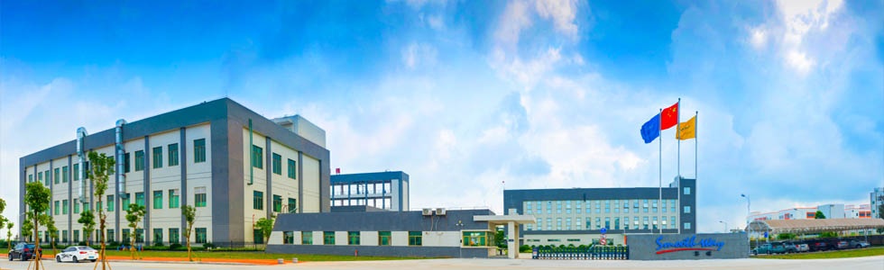 賽緯電子 賽緯電子