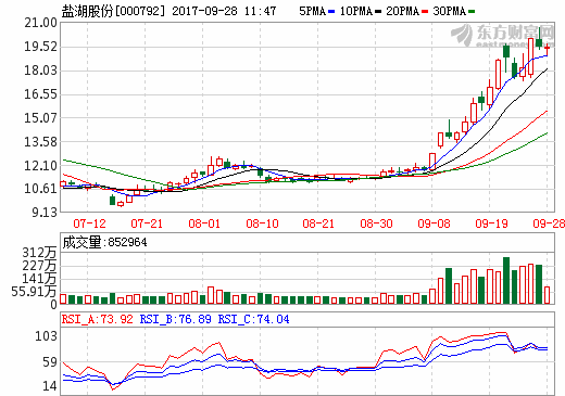 鹽湖股份 鹽湖股份