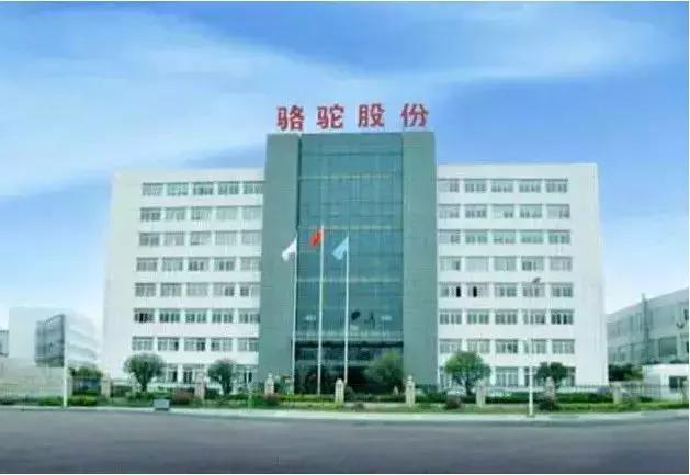 克羅地亞超跑遇上中國電池 將在華建設生產基地 克羅地亞超跑遇上中國電池 將在華建設生產基地