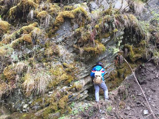 近年四川鋰礦探明超200萬(wàn)噸 或成新能源車(chē)電池“主力軍” 近年四川鋰礦探明超200萬(wàn)噸 或成新能源車(chē)電池“主力軍”