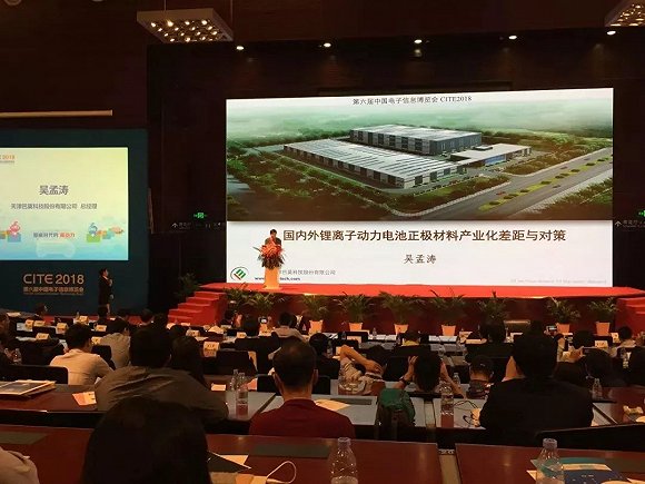 中國動力電池表面光鮮 整體盈利困難