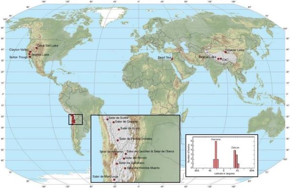 電動車催生鋰鈷繁榮 麥肯錫：2025年全球鋰鹽需求翻3倍