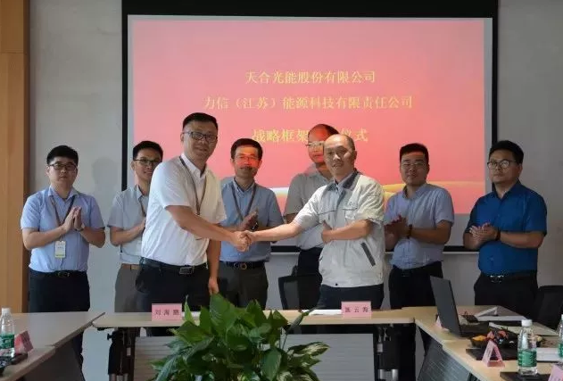 天合光能副總裁劉海鵬、力信能源副總裁施云海代表雙方簽約