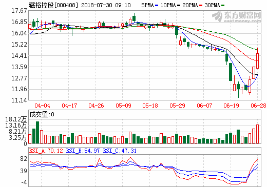 藏格控股 藏格控股