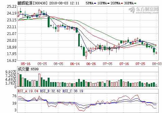 鵬輝能源 鵬輝能源
