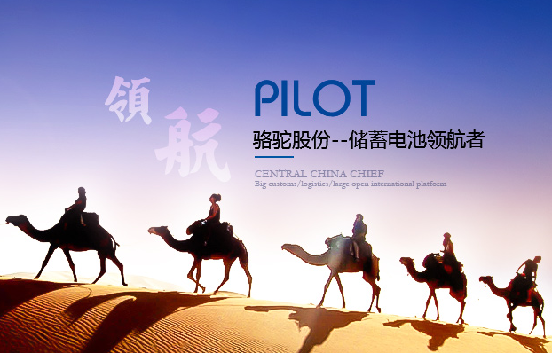 駱駝股份 駱駝股份