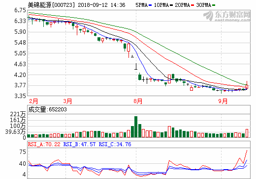 美錦能源擴張氫能源產業鏈 子公司氫燃料電池汽車首次出口