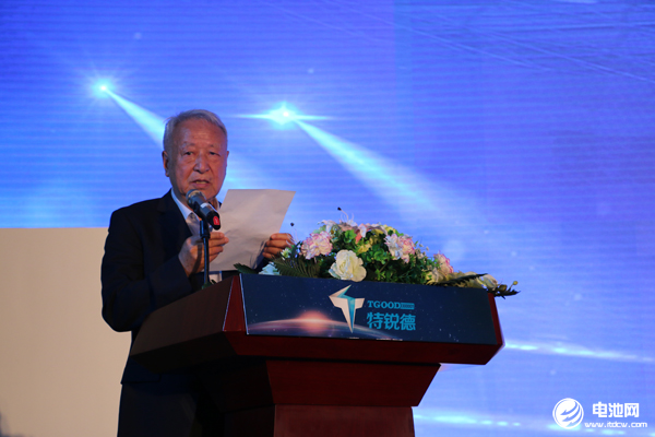 國家新能源汽車創新工程項目專家組組長王秉剛 國家新能源汽車創新工程項目專家組組長王秉剛