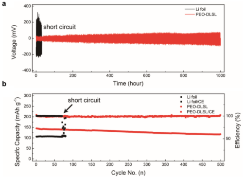 中國科大仿硅藻土多級結構研制高性能固態鋰電池復合負極 中國科大仿硅藻土多級結構研制高性能固態鋰電池復合負極