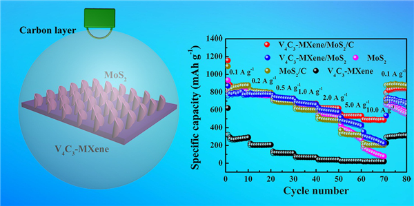 圖2. V4C3-MXene/MoS2/C復合材料的結構示意圖和倍率性能。 圖2. V4C3-MXene/MoS2/C復合材料的結構示意圖和倍率性能。