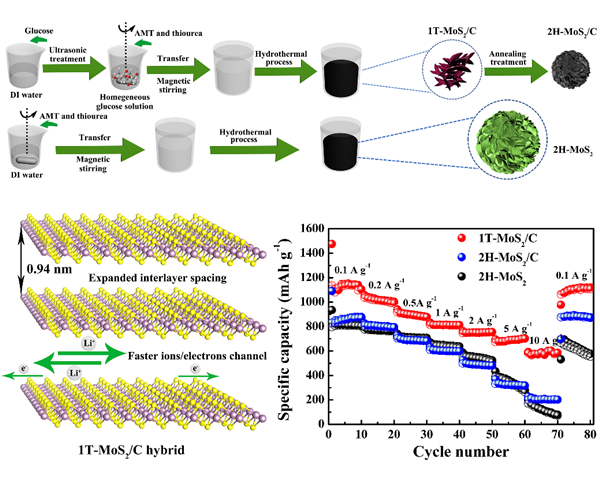圖3. 1T-MoS2/C復合材料的合成過程、反應機制示意圖及倍率性能。 圖3. 1T-MoS2/C復合材料的合成過程、反應機制示意圖及倍率性能。